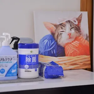  別荘 House 101